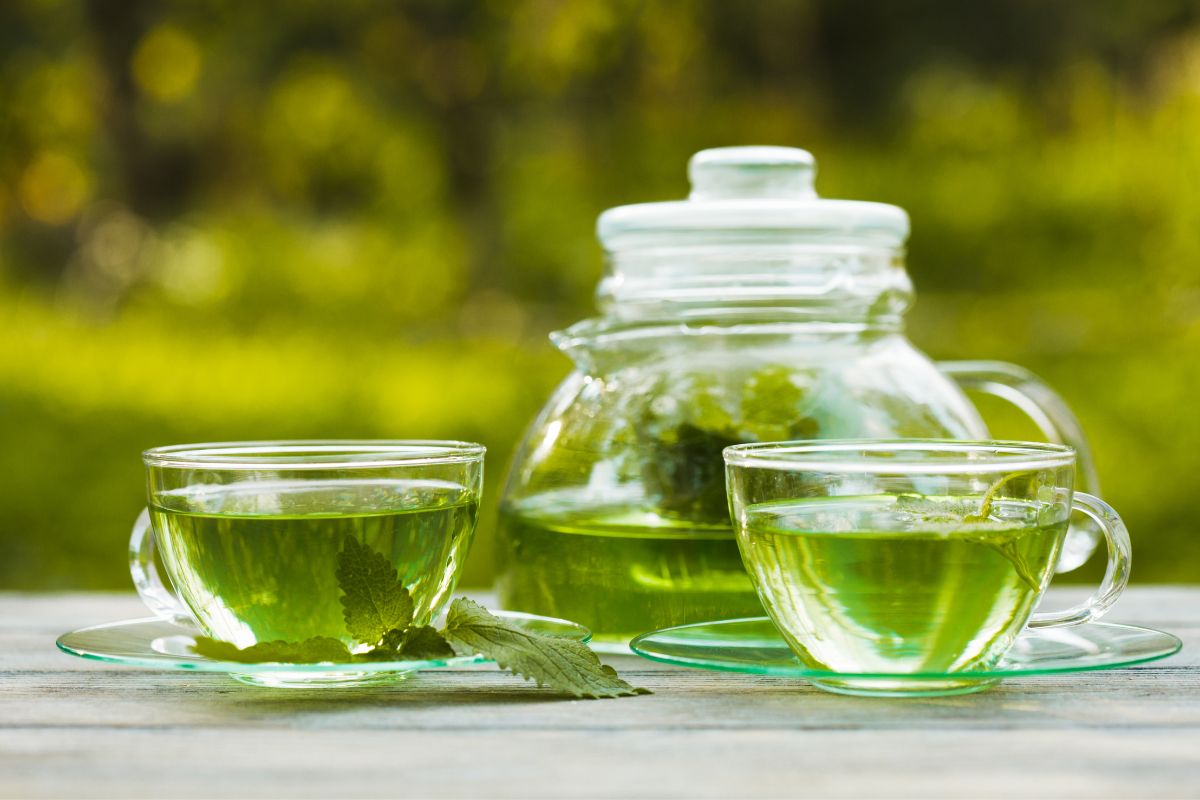 Benefícios do chá de melissa: combate a ANSIEDADE e muito mais! - Fonte: Canva