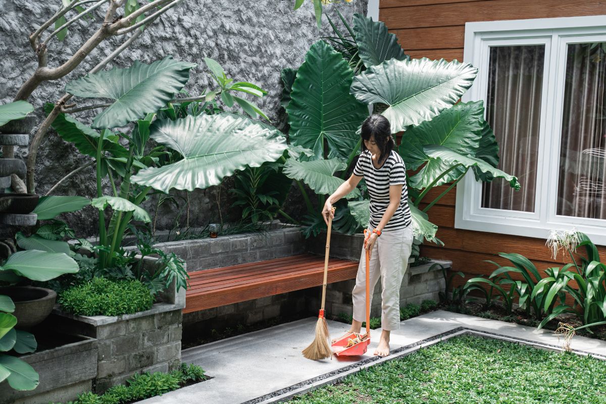 Veja essas dicas para você mesmo renovar o quintal aos poucos e sem gastar quase nada - Reprodução: Canva Pro