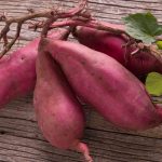 5 benefícios da batata-doce que vão te proporcionar uma saúde de ferro, confira - Reprodução Canva