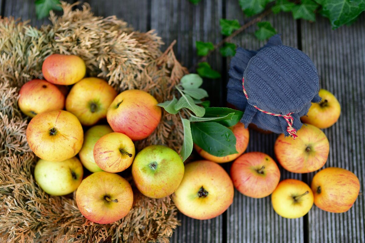 Geleia de maçã SEM AÇÚCAR: 100% natural e com poucas calorias! Aprenda agora