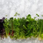 Horta medicinal: confira 5 ervas repletas de benefícios para plantar em vasos - Foto: Freepik