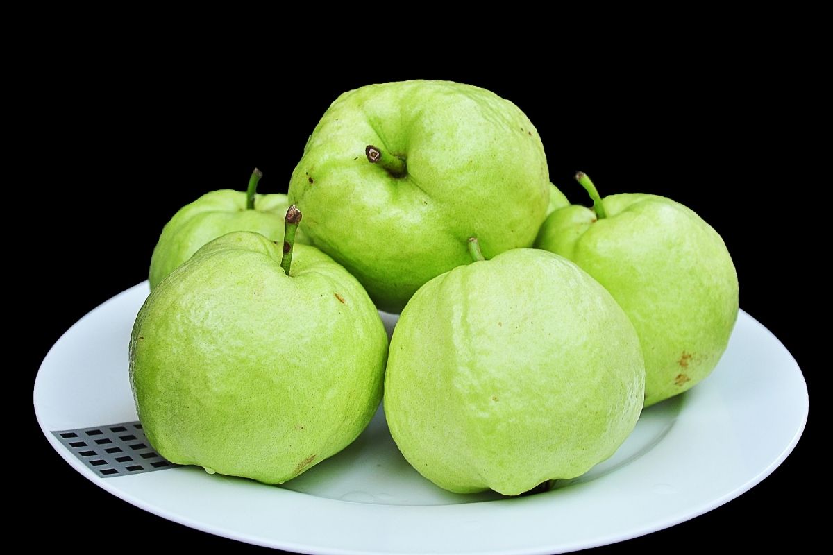 Afinal, goiaba branca ou vermelha? Saiba qual das duas pode melhorar a saúde dos olhos - Reprodução Canva