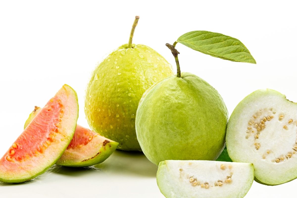 Afinal, goiaba branca ou vermelha? Saiba qual das duas pode melhorar a saúde dos olhos - Reprodução Canva