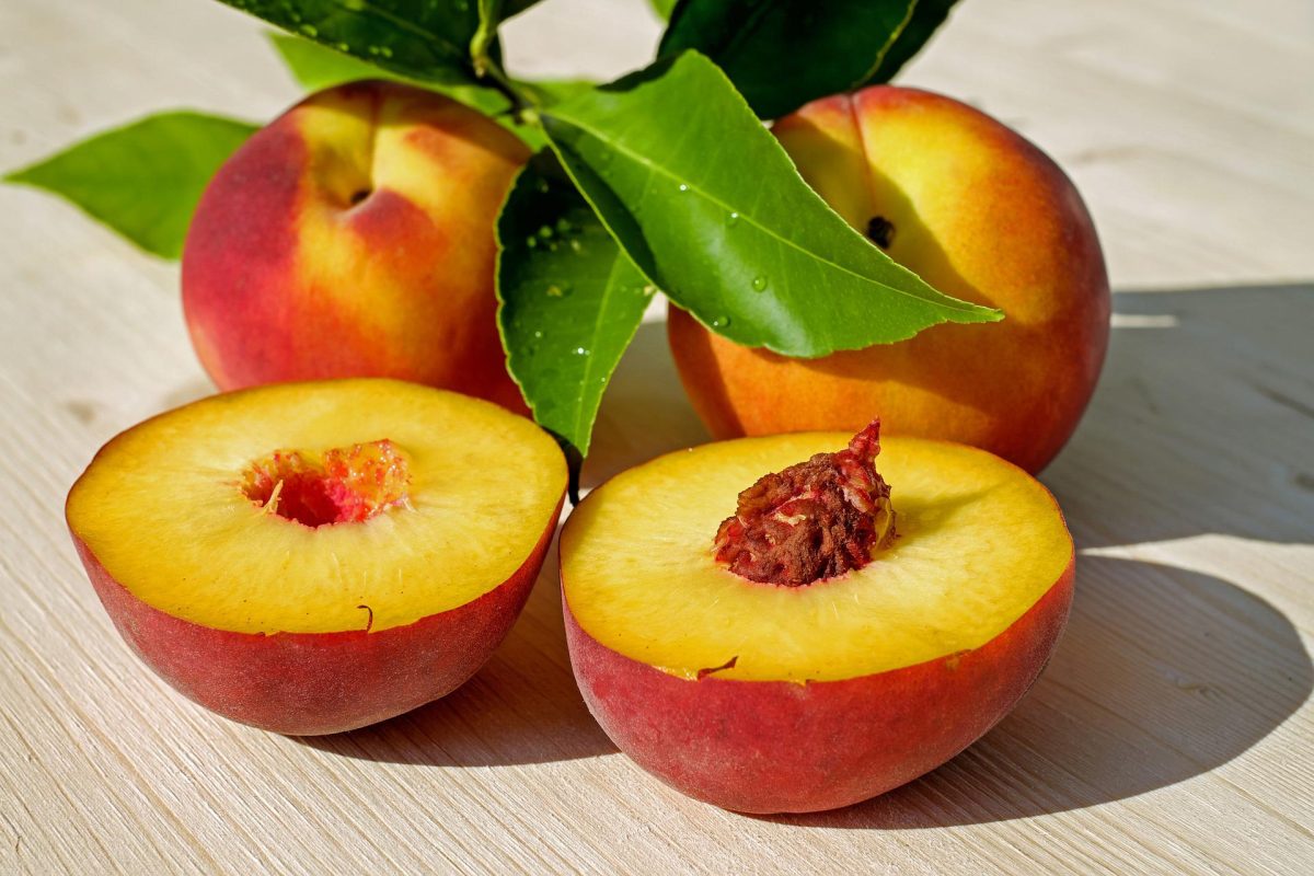 Conheça os benefícios do pêssego: uma fruta que melhora a saúde do organismo e ainda ajuda na beleza (Reprodução: Pixabay)