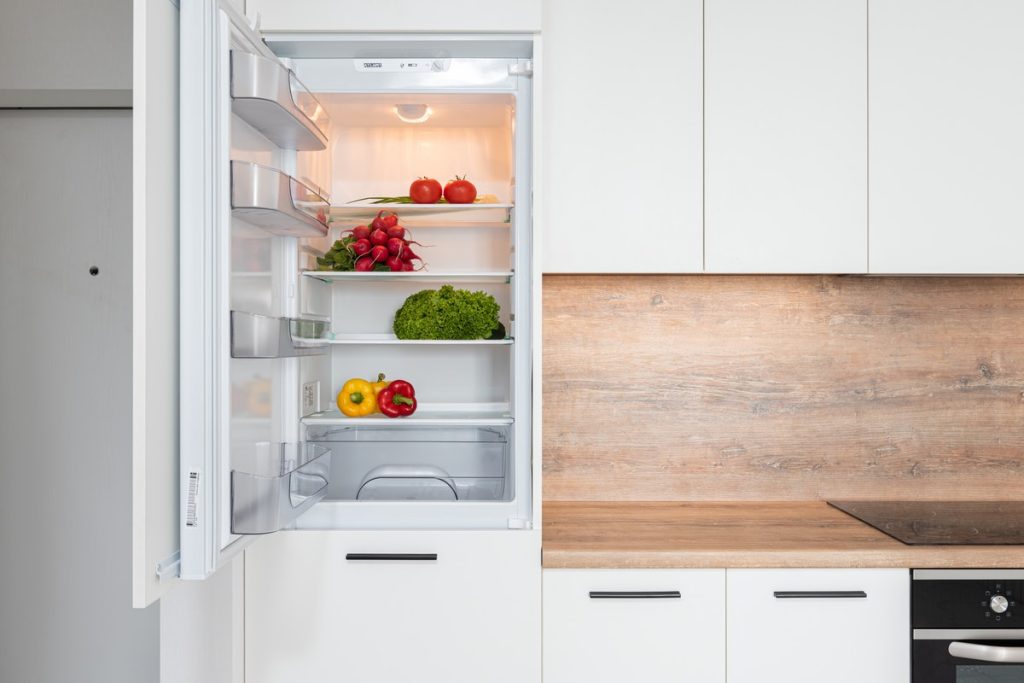 Higienizar a geladeira da maneira correta; veja com que frequência essa limpeza deve ser feita e oque usar (Imagem: Pexels) 
