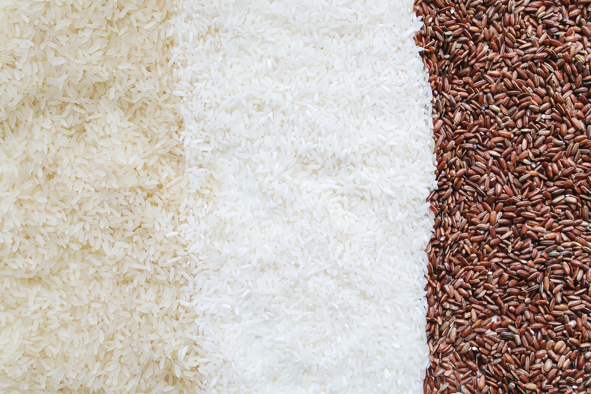 Lavar o arroz é certo ou errado? Veja os motivos pelos quais essa prática é errada (Imagem: Pexels)