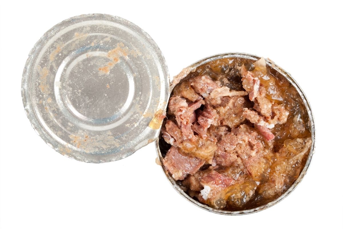 Carne na Lata: conserve fora da geladeira sem estragar e sem perder o sabor! "Fonte: Canva"
