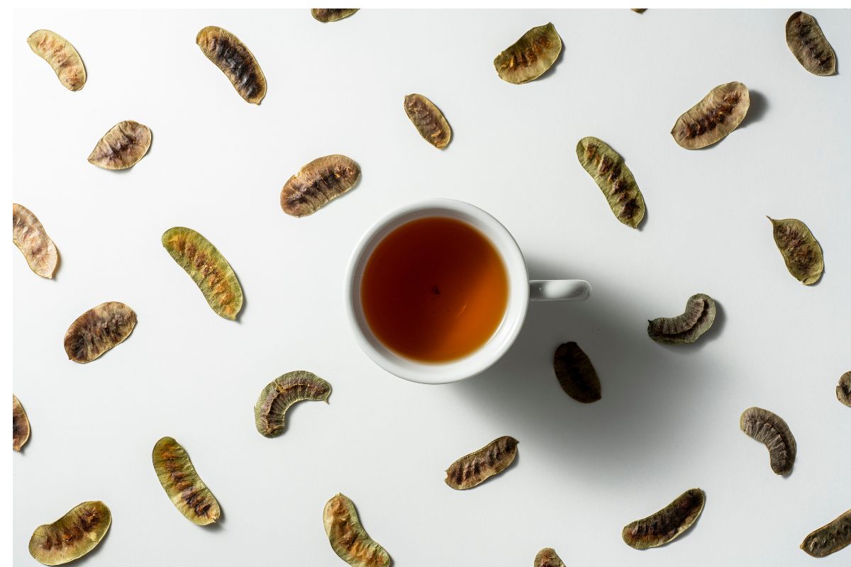 Benefícios do chá de sene: pra quê serve e contraindicações - Fonte: Canva