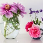 Flores para decoração interna( Reprodução Canva)
